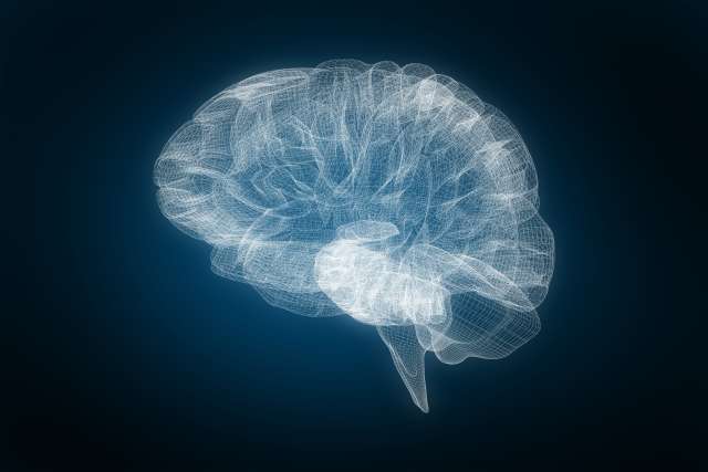 Brain image