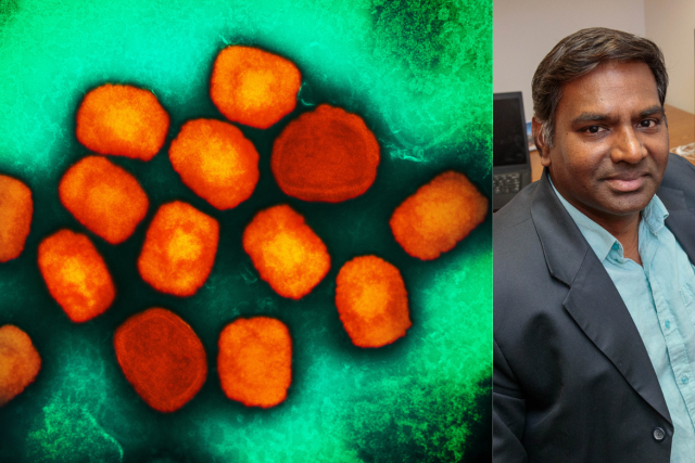 Left: mpox virus particles (in orange); right: headshot of Dr. Vaithi Arumugaswami